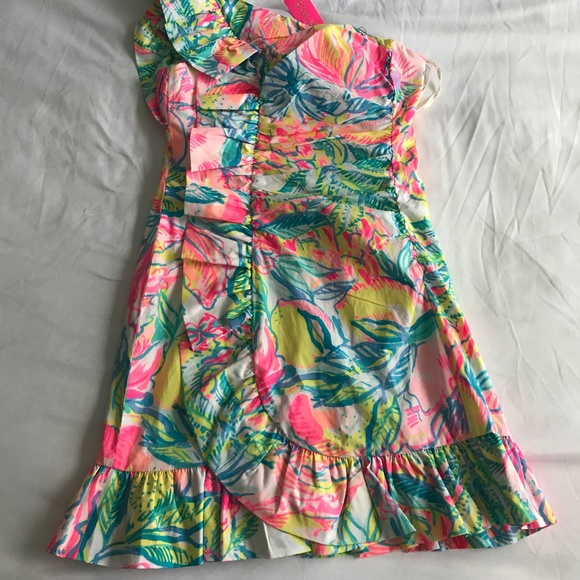 ❌❌Lilly Pulitzer Dress❌❌❌❌ - Picture 5 of 10